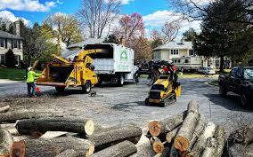 Best Stump Grinding and Removal  in Argentine, MI